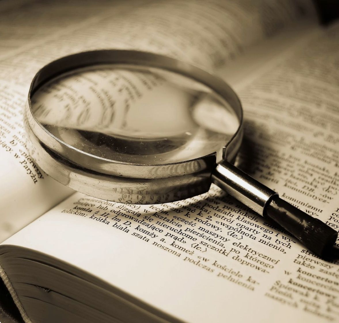 imagen de whatsapp 2025 09 30 a las 16.46.28 ecfcce3e