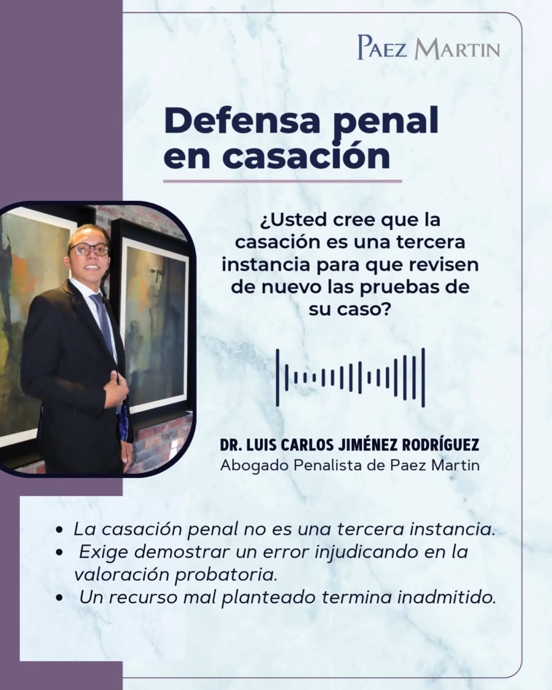 Defensa Penal En Casacion
